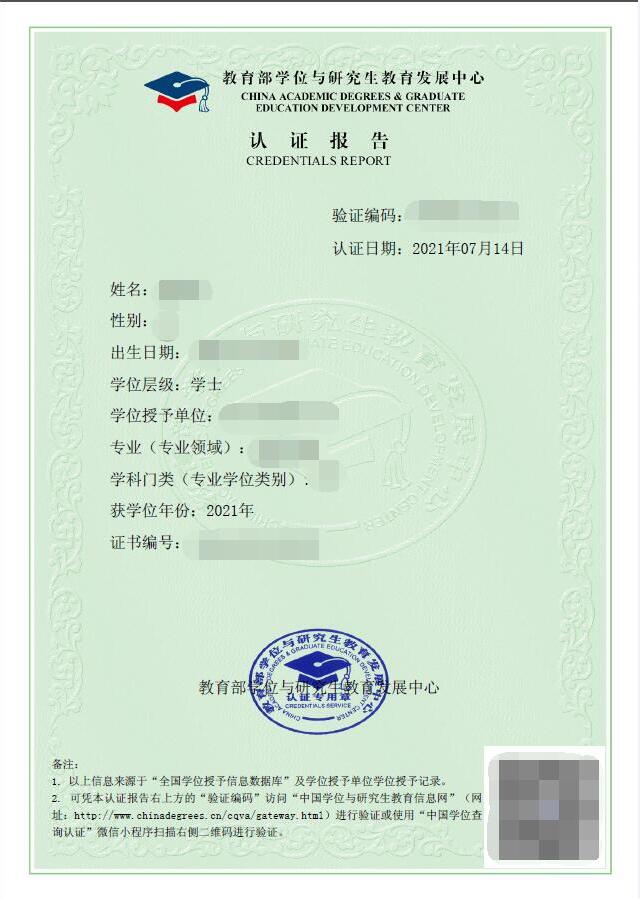 学位网中文报告模板